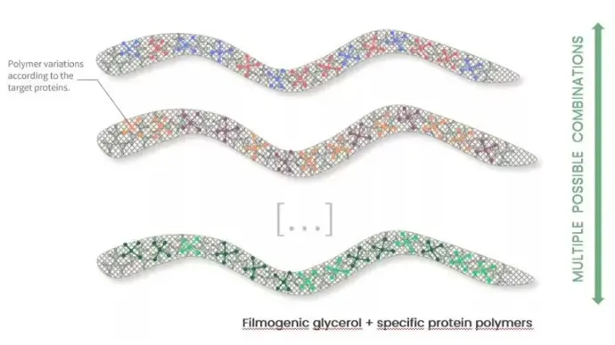 Product composition is adapted to the polymers to be included, depending on the pathology to be treated. Our treatments preserve the properties of glycerol, are stable for 4 to 6 hours on a membrane and target specifically the proteins involved in the pathology.