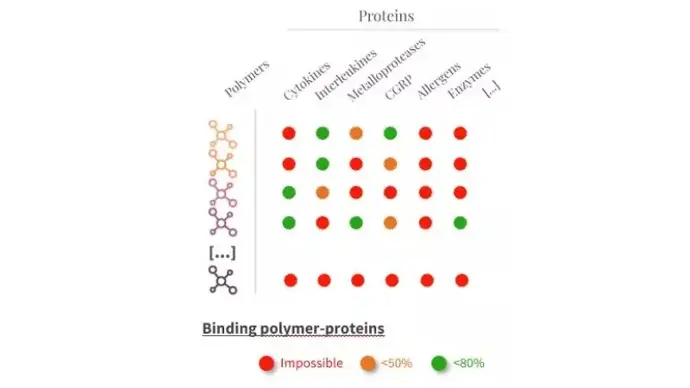 These polymers were further evaluated for their ability to bind specific proteins involved in different diseases. According to : 1. The affinity of the polymers with a type of protein 2. The pathology to be treated.